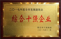 二〇一七年度全市发展建筑业综合十强企业
