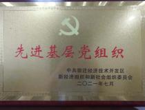 【华夏党建】集团党支部被经开区“两新”党委评为先进基层党组织